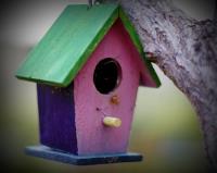 Bird House